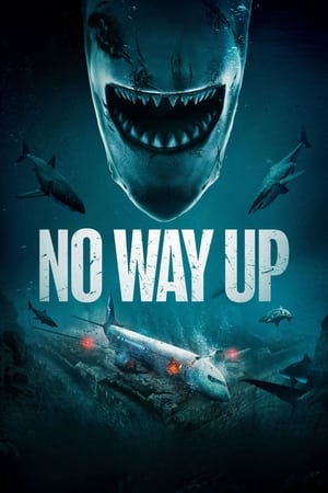 No Way Up (Hindi-Eng)