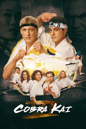 Cobra Kai-Hindi