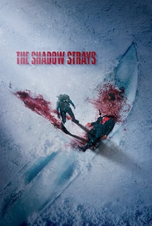 The Shadow Strays-Hindi