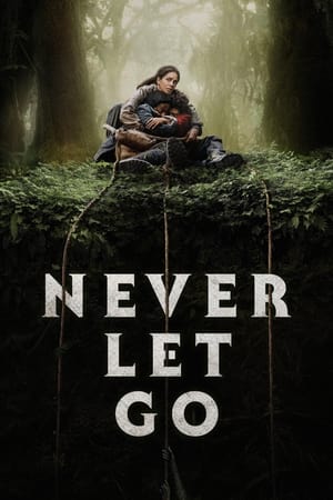 Never Let Go- Hindi